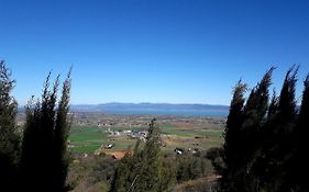Il vecchio frantoio
