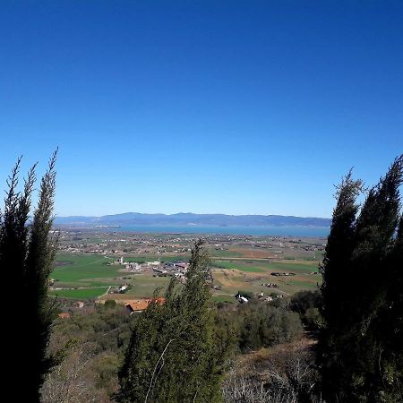 Villa Il vecchio frantoio Panicale Esterno foto