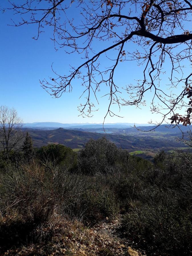 Villa Il vecchio frantoio Panicale Esterno foto