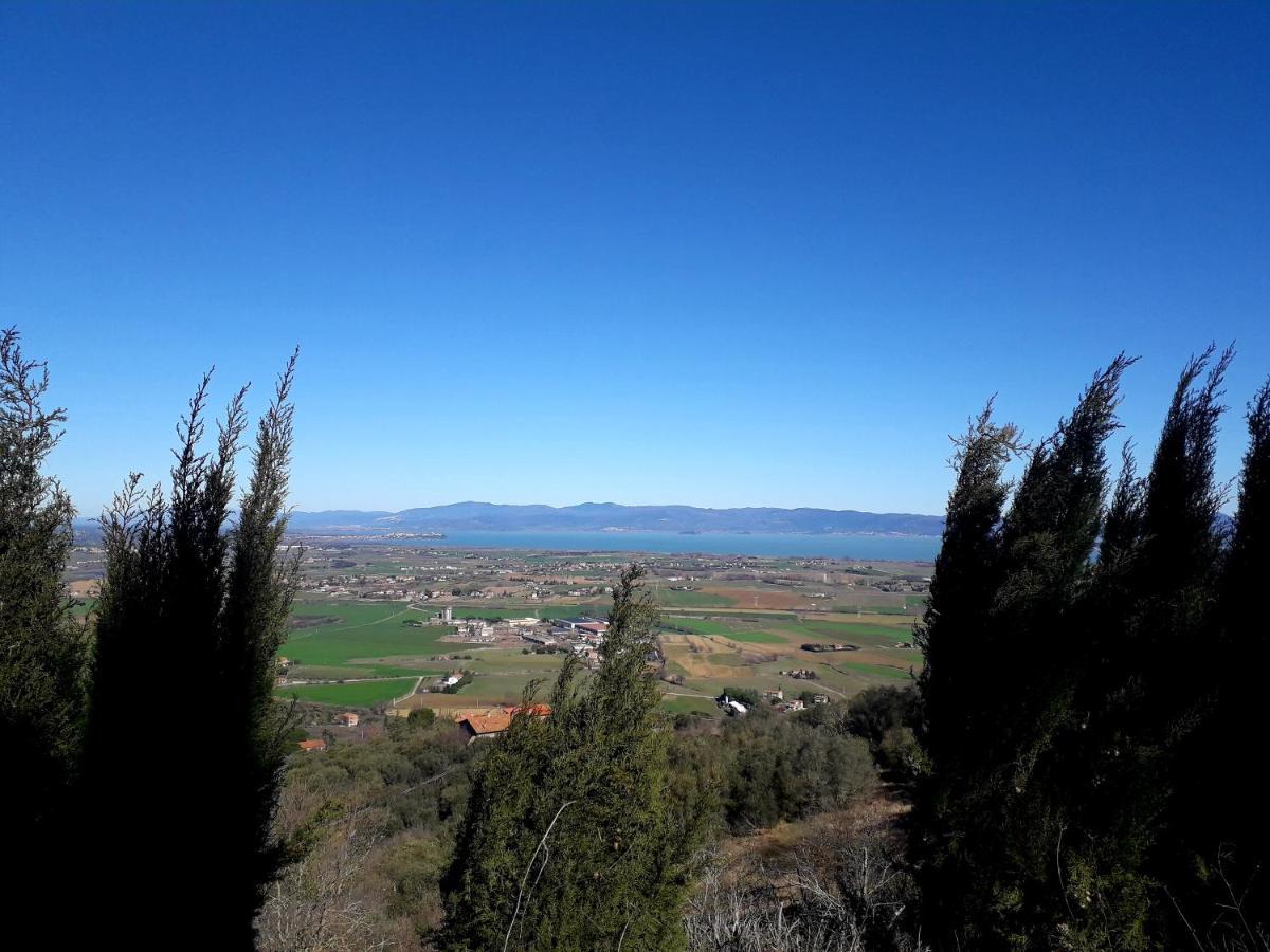Villa Il vecchio frantoio Panicale Esterno foto